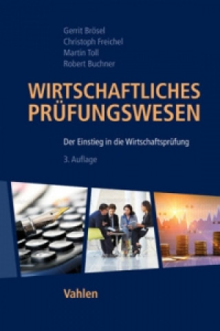 Kniha Wirtschaftliches Prüfungswesen Gerrit Brösel