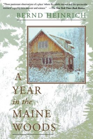 Könyv Year in the Maine Woods Bernd Heinrich