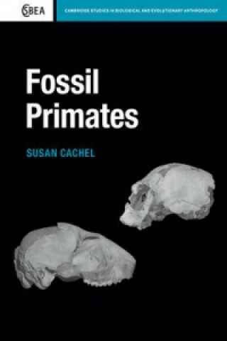 Könyv Fossil Primates Susan Cachel