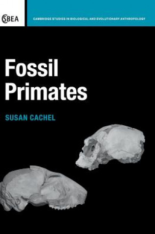 Könyv Fossil Primates Susan Cachel