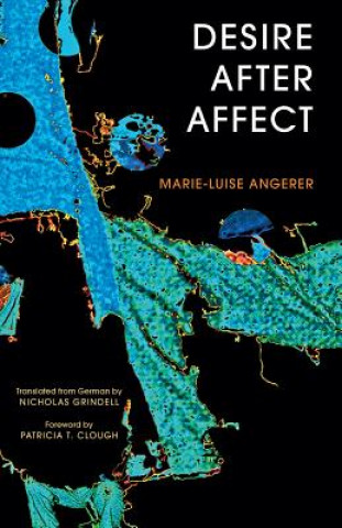 Livre Desire After Affect Marie-Luise Angerer