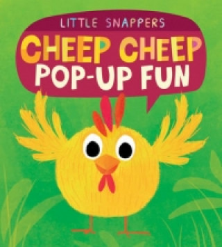 Könyv Cheep Cheep Pop-up Fun Jonathan Litton