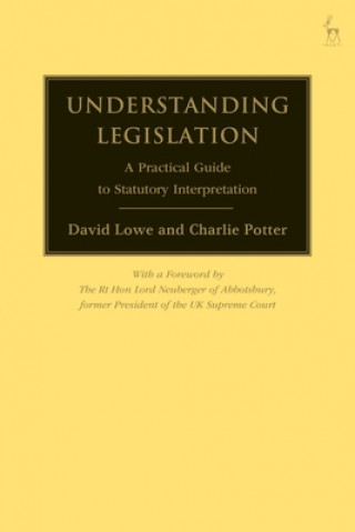 Libro Understanding Legislation David Lowe
