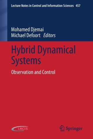 Könyv Hybrid Dynamical Systems Mohamed Djemai