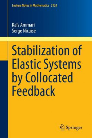 Könyv Stabilization of Elastic Systems by Collocated Feedback Kais Ammari