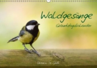 Naptár/Határidőnapló Waldgesänge - Geburtstagskalender (Wandkalender immerwährend DIN A3 quer) Ursula Di Chito