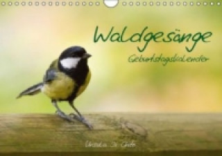 Calendar / Agendă Waldgesänge - Geburtstagskalender (Wandkalender immerwährend DIN A4 quer) Ursula Di Chito