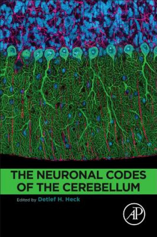 Kniha Neuronal Codes of the Cerebellum Detlef Heck