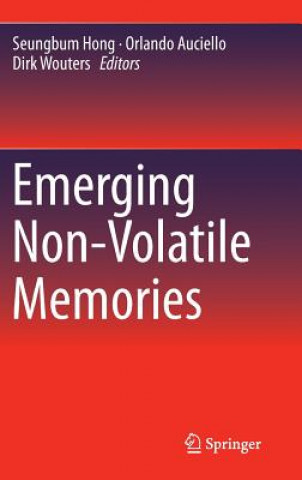 Kniha Emerging Non-Volatile Memories Seungbum Hong