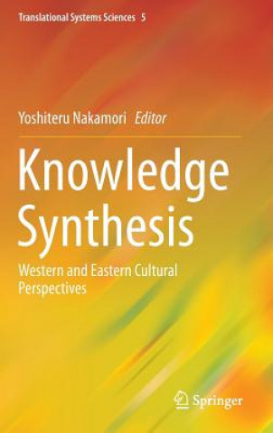 Kniha Knowledge Synthesis Yoshiteru Nakamori