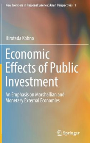 Kniha Economic Effects of Public Investment Hirotada Kohno