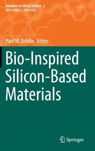 Kniha Bio-Inspired Silicon-Based Materials Paul Zelisko