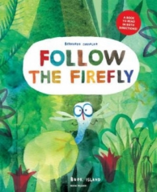Книга Follow the Firefly / Run, Rabbit, Run! Bernardo Carvalho