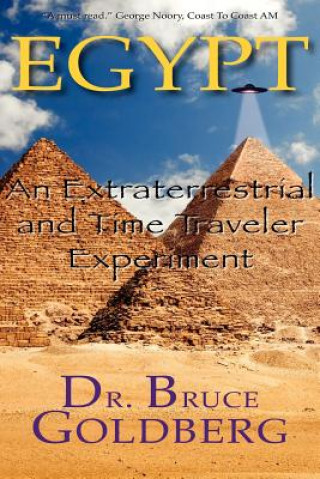 Kniha Egypt Bruce Goldberg