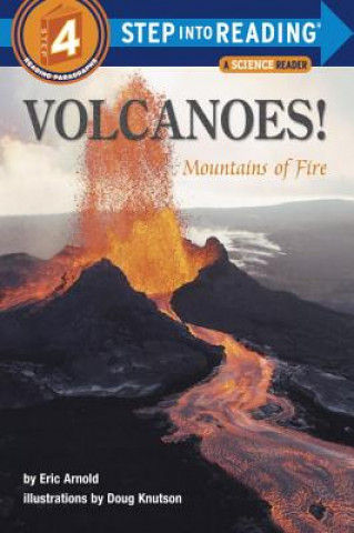 Kniha Volcanoes! Eric Arnold