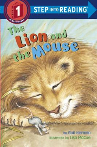 Kniha Lion And The Mouse Aesop