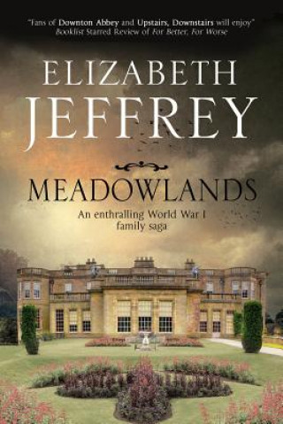 Książka Meadowlands Elizabeth Jeffrey
