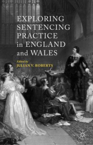 Buch Exploring Sentencing Practice in England and Wales Julian V. Roberts