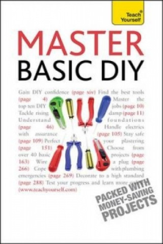 E-knjiga Master Basic DIY: Teach Yourself DIY Doctor
