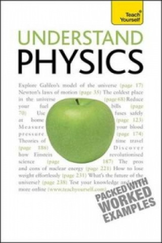 E-book Understand Physics: Teach Yourself Jim Breithaupt