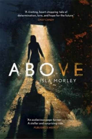 Kniha Above Isla Morley