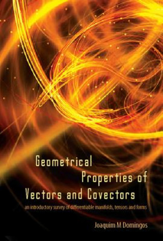 Könyv Geometrical Properties Of Vectors And Covectors: An Introductory Survey Of Differentiable Manifolds, Tensors And Forms Joaquim M. Domingos