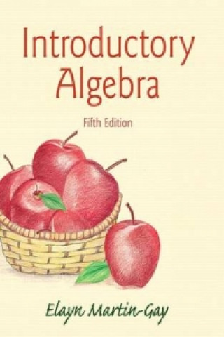 Boek Introductory Algebra Elayn Martin-Gay