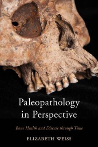 Könyv Paleopathology in Perspective Elizabeth Weiss