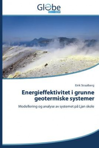 Książka Energieffektivitet I Grunne Geotermiske Systemer Eirik Straalberg