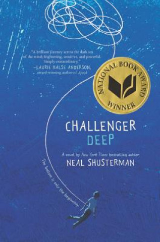Carte Challenger Deep Neal Shusterman