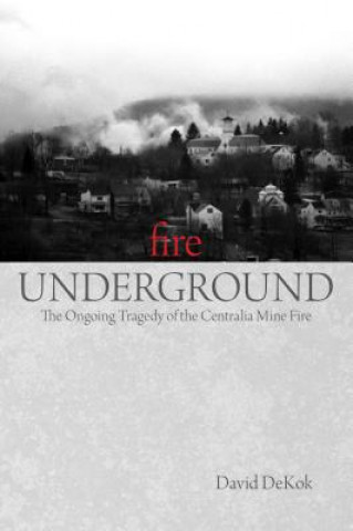 Book Fire Underground David Dekok