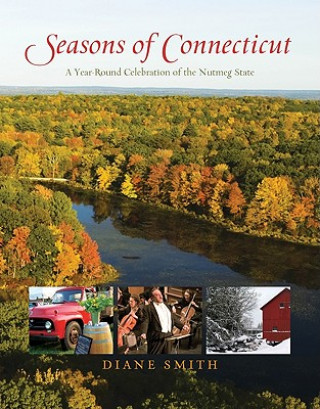 Könyv Seasons of Connecticut Diane Ith