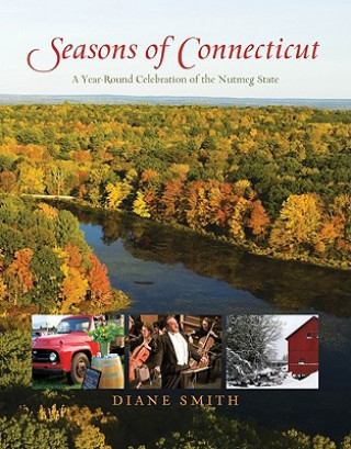 Książka Seasons of Connecticut Diane Ith