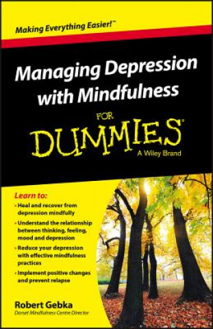 Carte Managing Depression with Mindfulness For Dummies R Gebka