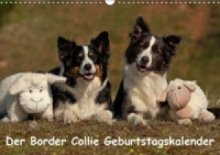 Naptár/Határidőnapló Der Border Collie Geburtstagskalender (Wandkalender immerwährend DIN A3 quer) Tina Mauersberger