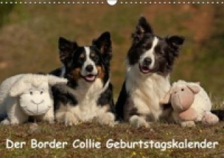 Kalendár/Diár Der Border Collie Geburtstagskalender (Wandkalender immerwährend DIN A3 quer) Tina Mauersberger