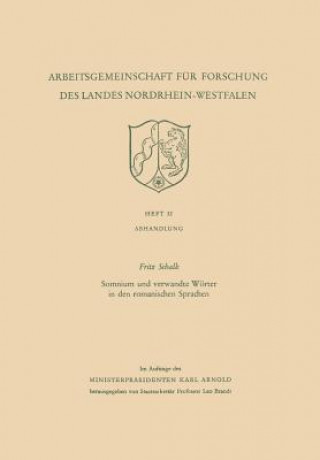 Книга Somnium Und Verwandte Woerter in Den Romanischen Sprachen Fritz Schalk