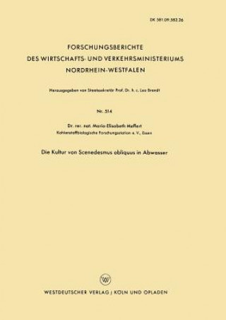Книга Kultur Von Scenedesmus Obliquus in Abwasser Maria-Elisabeth Meffert