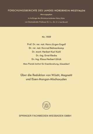 Könyv ber Die Reduktion Von W stit, Magnetit Und Eisen-Mangan-Mischoxyden Hans-Jürgen Engell