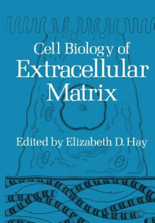 Kniha Cell Biology of Extracellular Matrix Elizabeth D. Hay