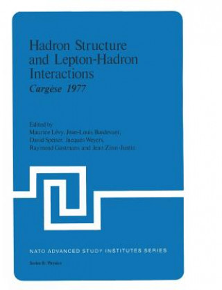 Kniha Hadron Structure and Lepton-Hadron Interactions Maurice Levy