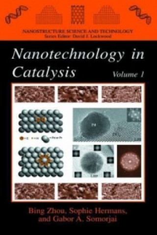 Książka Nanotechnology in Catalysis Bing Zhou