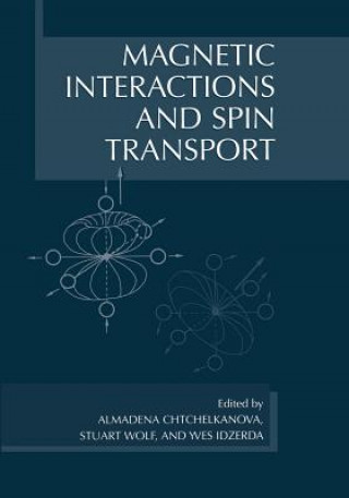 Buch Magnetic Interactions and Spin Transport Almadena Chtchelkanova