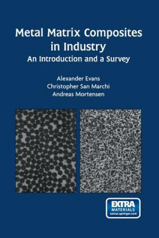 Livre Metal Matrix Composites in Industry Alexander Evans