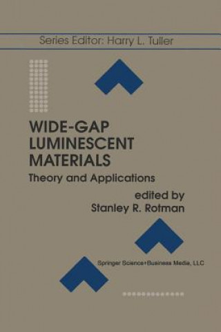 Buch Wide-Gap Luminescent Materials: Theory and Applications Stanley R. Rotman