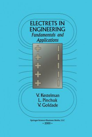Kniha Electrets In Engineering, 1 Vladimir N. Kestelman