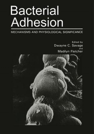 Könyv Bacterial Adhesion Madilyn Fletcher