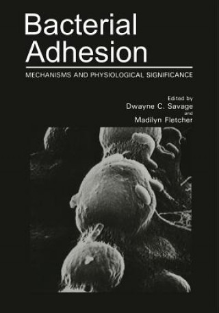 Knjiga Bacterial Adhesion Madilyn Fletcher