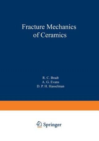 Kniha Fracture Mechanics of Ceramics R. C. Bradt