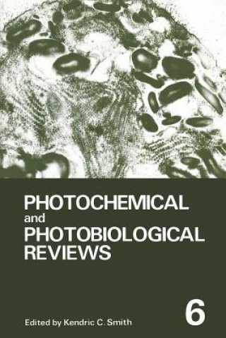 Książka Photochemical and Photobiological Reviews Kendric C. Smith